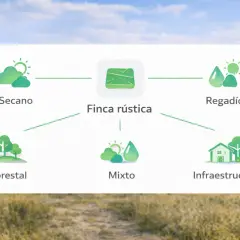 Diagrama que muestra cómo tasar finca rústica: secano, regadío, forestal, mixto e infraestructuras.