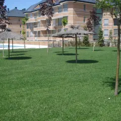 Área verde con sombrillas de paja y piscina, elementos comunes de una urbanización, regidos por la ley de propiedad horizontal.
