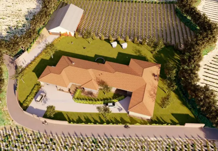 Vista aérea de una casa moderna con tejado de tejas, rodeada de viñedos y campos. Los planos de piso se visualizan en esta representación 3D.