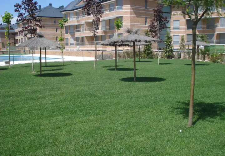 Área verde con sombrillas de paja y piscina, elementos comunes de una urbanización, regidos por la ley de propiedad horizontal.