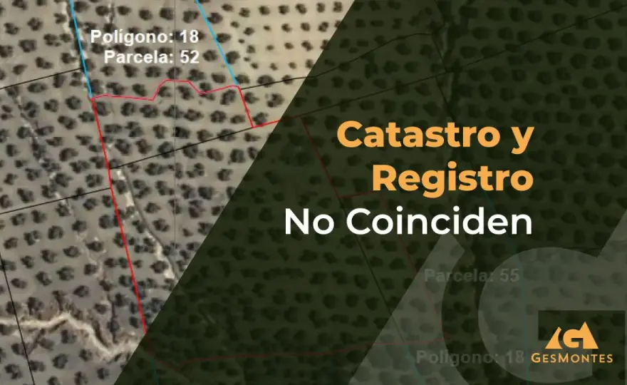 Inmatricular finca - Evita errores y registra tu propiedad