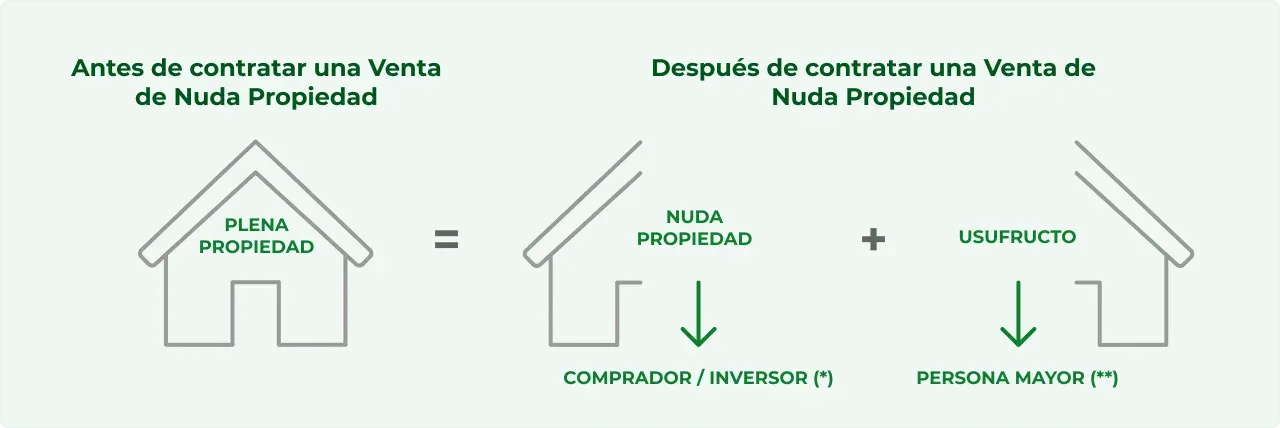 Ilustración explica cómo vender nuda propiedad con usufructo vitalicio: la plena propiedad se divide en nuda propiedad (comprador) y usufructo (persona mayor).