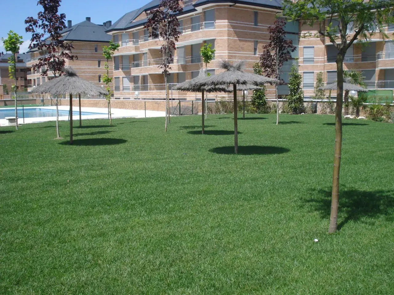 Área verde con sombrillas de paja y piscina, elementos comunes de una urbanización, regidos por la ley de propiedad horizontal.