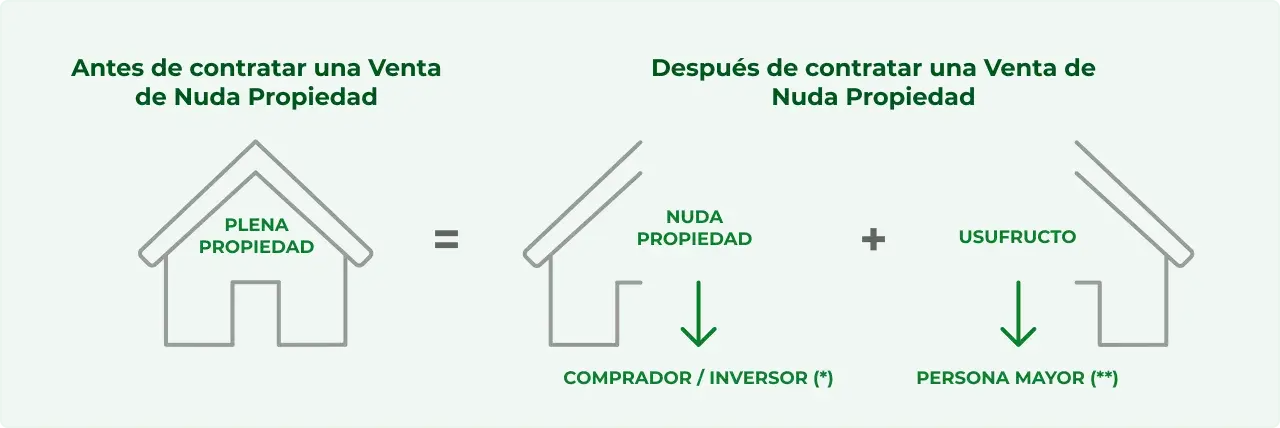 Ilustra que la plena propiedad de una vivienda se divide en nuda propiedad (para el comprador) y usufructo (para la persona mayor).