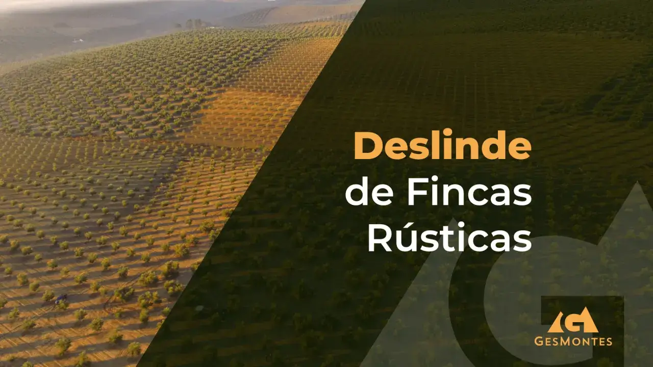 Deslinde de fincas rústicas, el amojonamiento significado para delimitar propiedades.