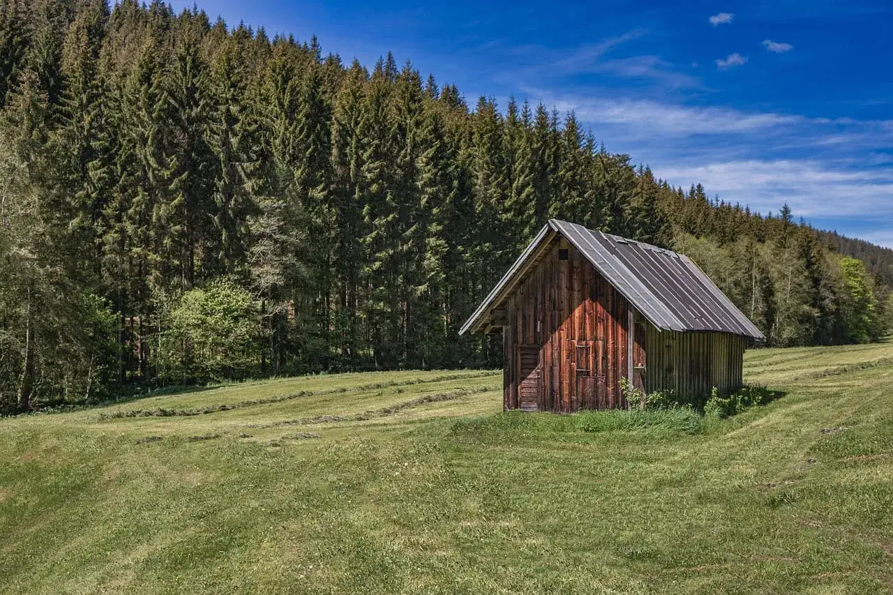 Una rústica casa de aperos de madera se alza en un prado verde, con un denso bosque de pinos al fondo bajo un cielo azul con nubes.